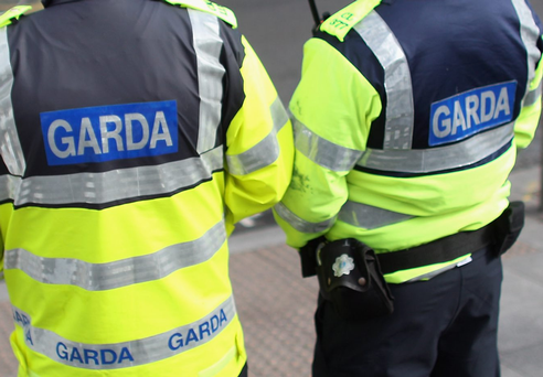 Irish Independent: “Expert in review of garda pay steps down”