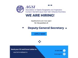 Professional Job Vacancy Announcement Instagram Post (Website) – 1