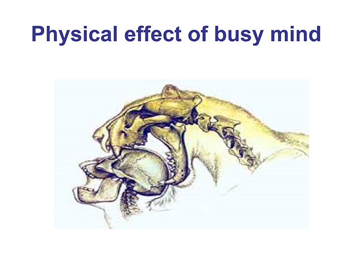 Physical effect of busy mind