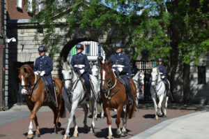 Garda Centenary Celebration